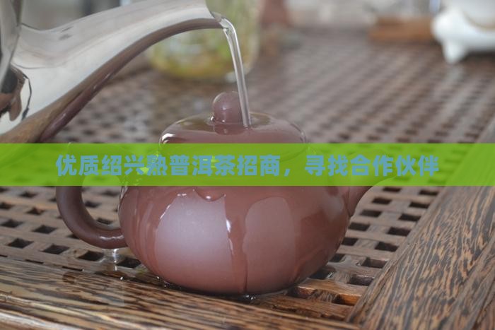 优质绍兴熟普洱茶招商，寻找合作伙伴