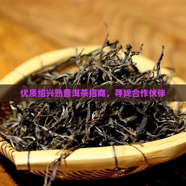 优质绍兴熟普洱茶招商，寻找合作伙伴