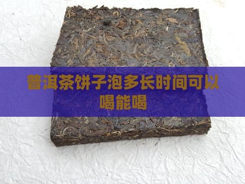普洱茶饼子泡多长时间可以喝能喝
