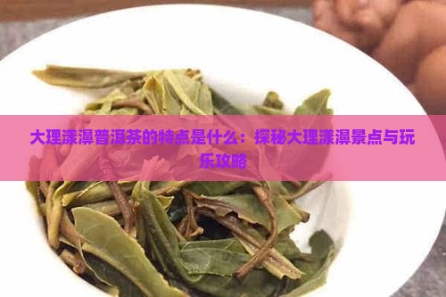 大理漾濞普洱茶的特点是什么：探秘大理漾濞景点与玩乐攻略
