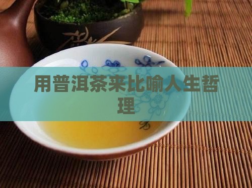 用普洱茶来比喻人生哲理