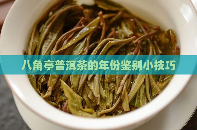 八角亭普洱茶的年份鉴别小技巧