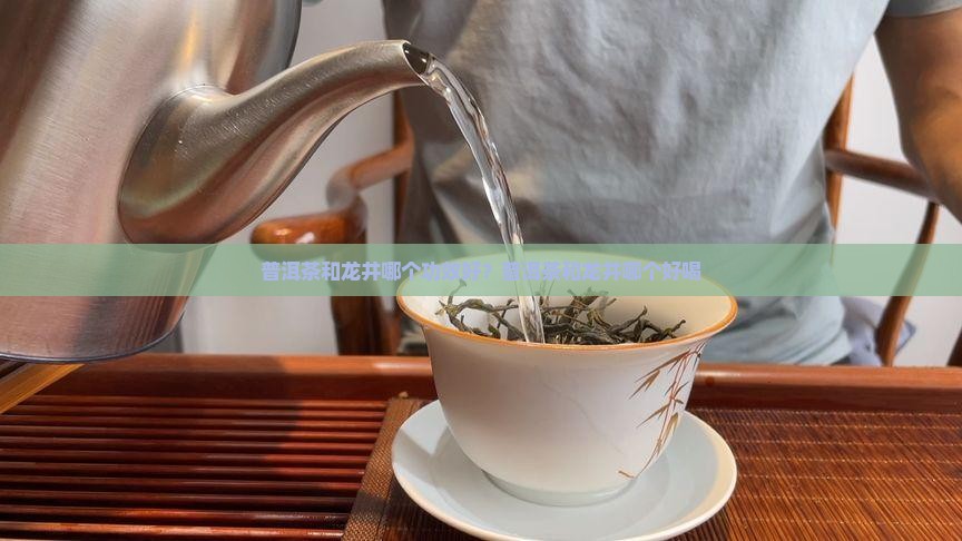 普洱茶和龙井哪个功效好？普洱茶和龙井哪个好喝