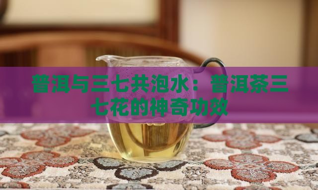 普洱与三七共泡水：普洱茶三七花的神奇功效