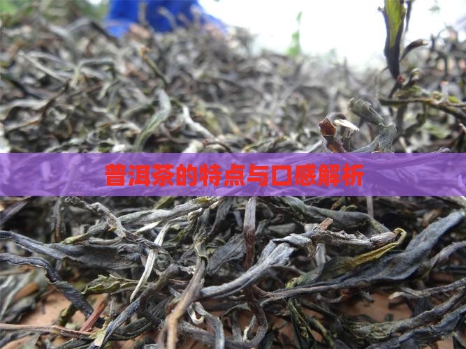 普洱茶的特点与口感解析