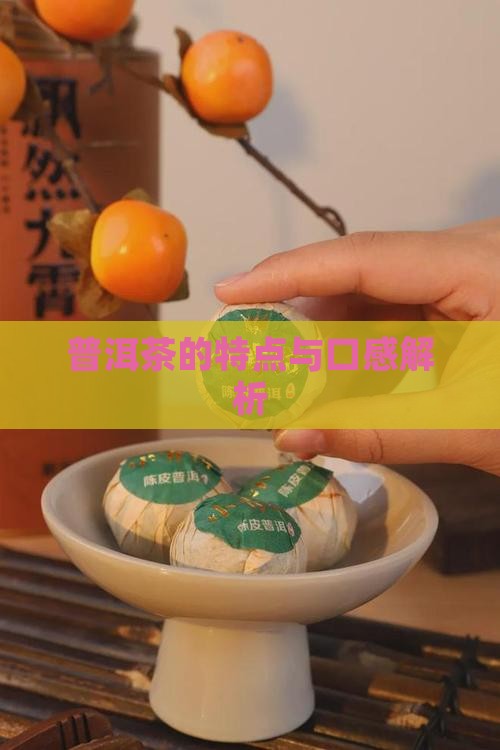 普洱茶的特点与口感解析