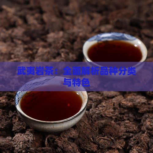 武夷岩茶：全面解析品种分类与特色
