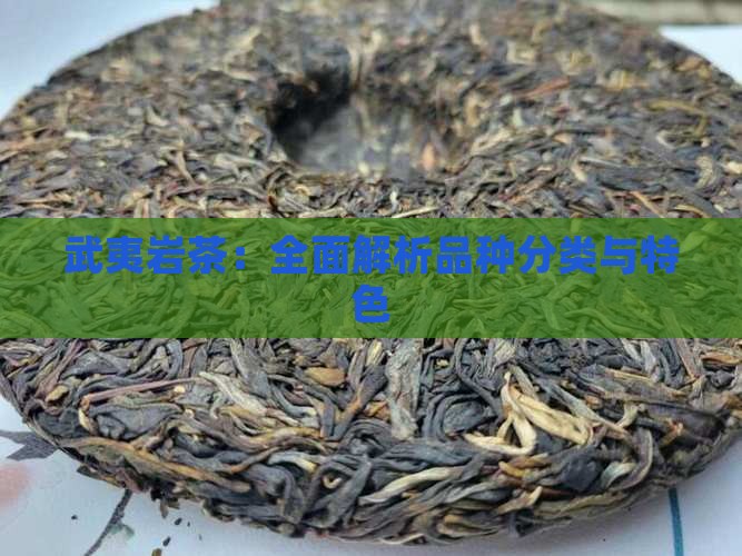 武夷岩茶：全面解析品种分类与特色