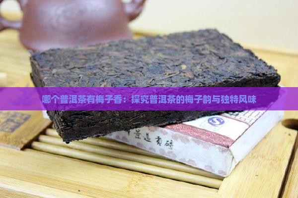 哪个普洱茶有梅子香：探究普洱茶的梅子韵与独特风味