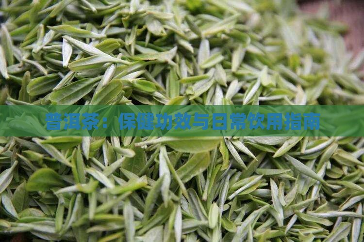 普洱茶:保健功效与日常饮用指南 普洱茶:保健功效与日常饮用指南