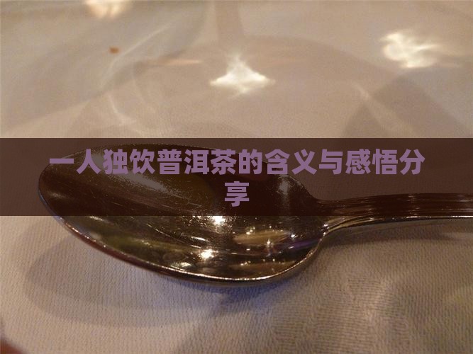 一人独饮普洱茶的含义与感悟分享 一人独饮普洱茶的含义与感悟分享