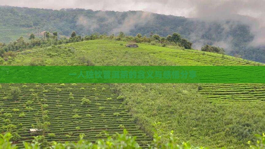一人独饮普洱茶的含义与感悟分享 一人独饮普洱茶的含义与感悟分享