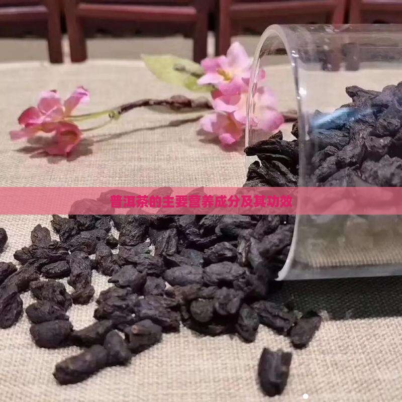 普洱茶的主要营养成分及其功效 普洱茶的主要营养成分及其功效