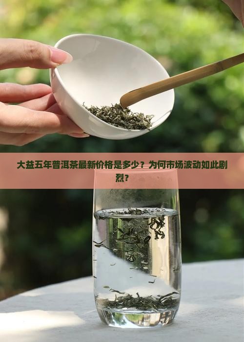 大益五年普洱茶最新价格是多少？为何市场波动如此剧烈？