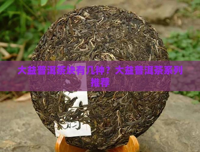 大益普洱茶块有几种？大益普洱茶系列推荐