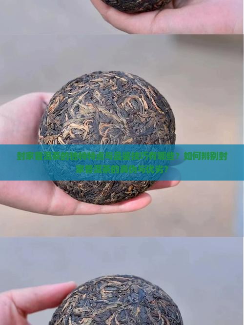 封家普洱茶的独特特点与品鉴技巧有哪些？如何辨别封家普洱茶的真伪与优劣？