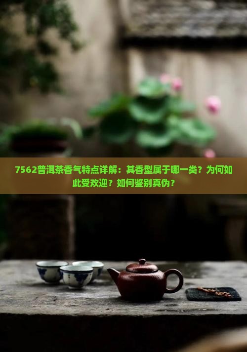 7562普洱茶香气特点详解：其香型属于哪一类？为何如此受欢迎？如何鉴别真伪？