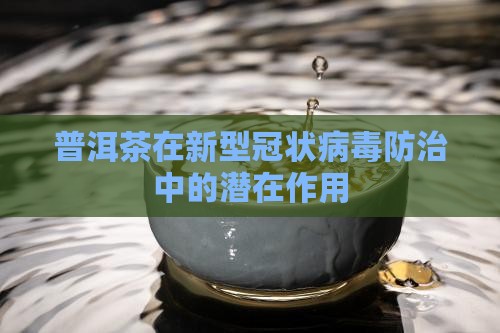 普洱茶在新型冠状病毒防治中的潜在作用