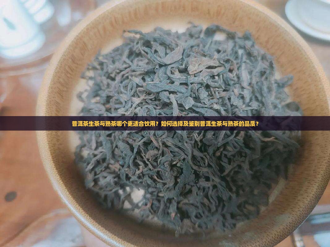 普洱茶生茶与熟茶哪个更适合饮用？如何选择及鉴别普洱生茶与熟茶的品质？
