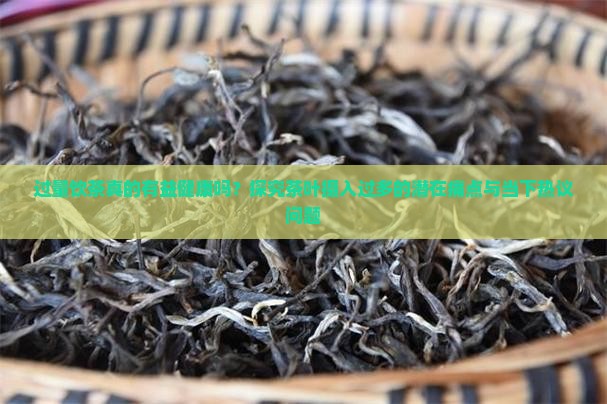 过量饮茶真的有益健康吗？探究茶叶摄入过多的潜在痛点与当下热议问题