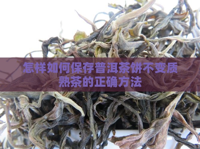 怎样如何保存普洱茶饼不变质熟茶的正确方法