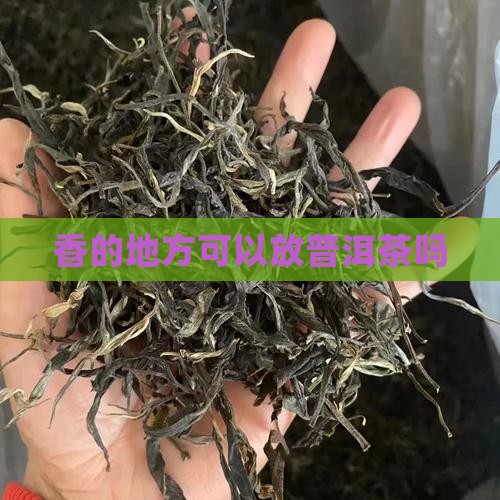 香的地方可以放普洱茶吗