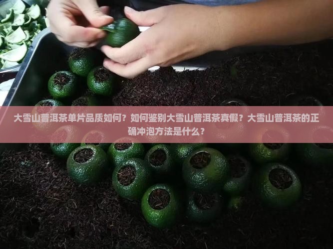 大雪山普洱茶单片品质如何？如何鉴别大雪山普洱茶真假？大雪山普洱茶的正确冲泡方法是什么？