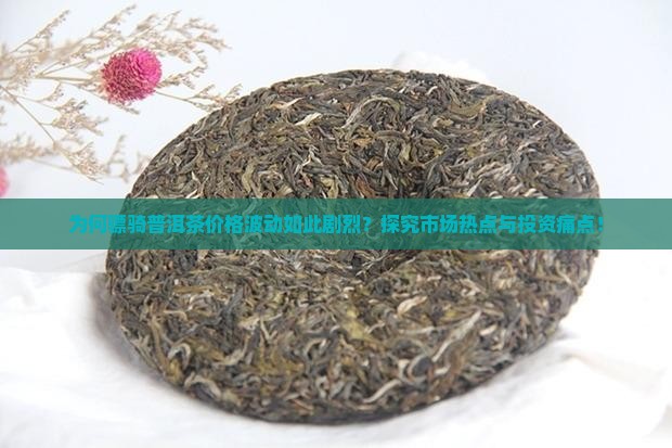 为何骠骑普洱茶价格波动如此剧烈？探究市场热点与投资痛点！