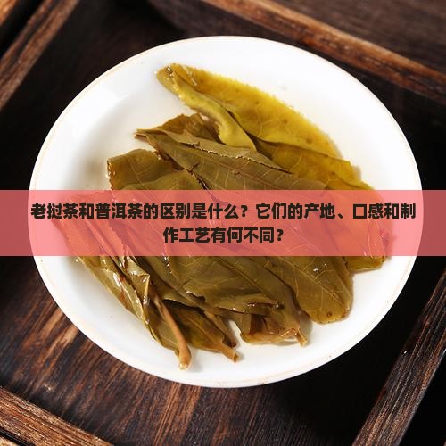 老挝茶和普洱茶的区别是什么？它们的产地、口感和制作工艺有何不同？