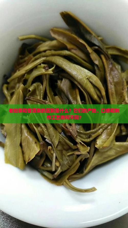 老挝茶和普洱茶的区别是什么？它们的产地、口感和制作工艺有何不同？