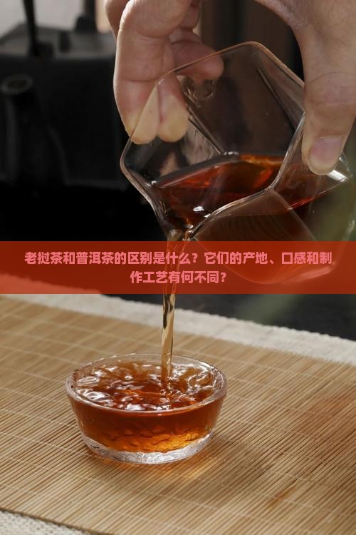 老挝茶和普洱茶的区别是什么？它们的产地、口感和制作工艺有何不同？
