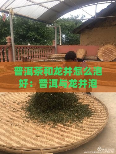普洱茶和龙井怎么泡好：普洱与龙井泡饮指南