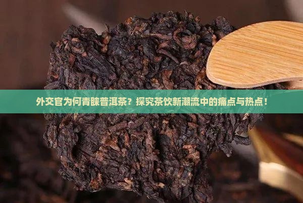外交官为何青睐普洱茶？探究茶饮新潮流中的痛点与热点！