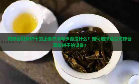 龙珠普洱茶烘干的正确方法与步骤是什么？如何选择适合龙珠普洱茶烘干的设备？