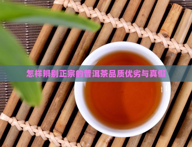 怎样辨别正宗的普洱茶品质优劣与真假