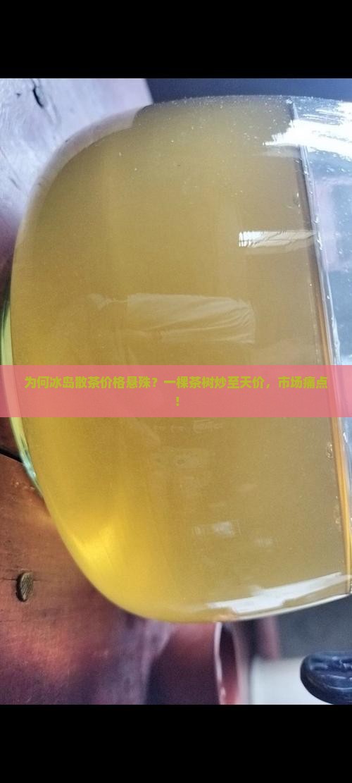 为何冰岛散茶价格悬殊？一棵茶树炒至天价，市场痛点！