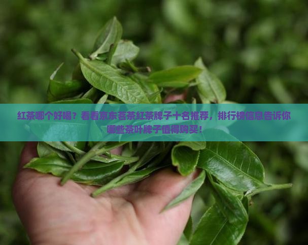 红茶哪个好喝？看看京东茗茶红茶牌子十名推荐，排行榜信息告诉你哪些茶叶牌子值得购买！