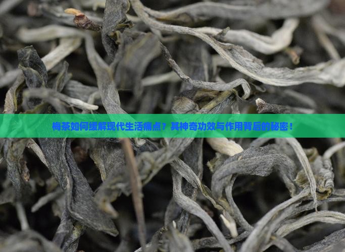 梅茶如何缓解现代生活痛点？其神奇功效与作用背后的秘密！