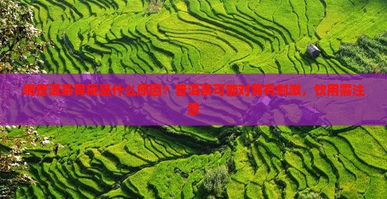 喝普洱茶胃疼是什么原因？普洱茶可能对胃有刺激，饮用需注意