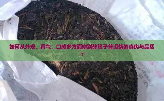 如何从外观、香气、口感多方面辨别碎银子普洱茶的真伪与品质？