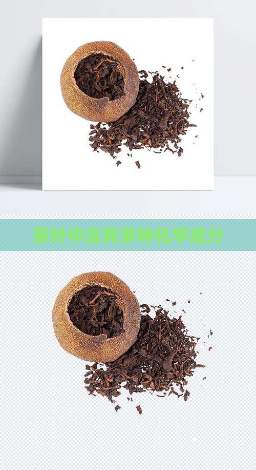 茶叶中含有多种化学成分