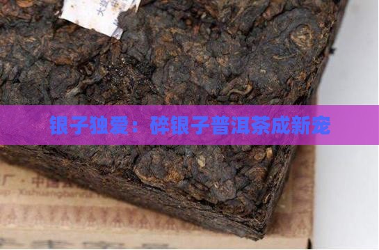 银子独爱：碎银子普洱茶成新宠