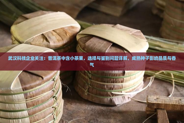 武汉科技企业关注：普洱茶中含小茶果，选择与鉴别问题详解，成熟种子影响品质与香气