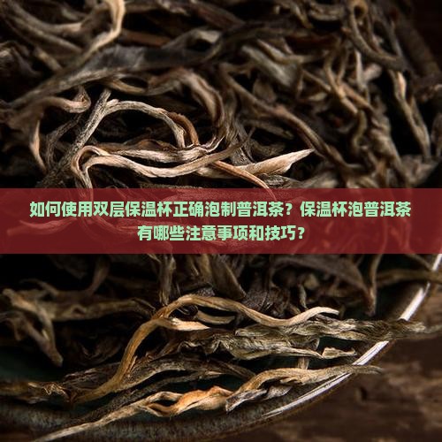 如何使用双层保温杯正确泡制普洱茶？保温杯泡普洱茶有哪些注意事项和技巧？