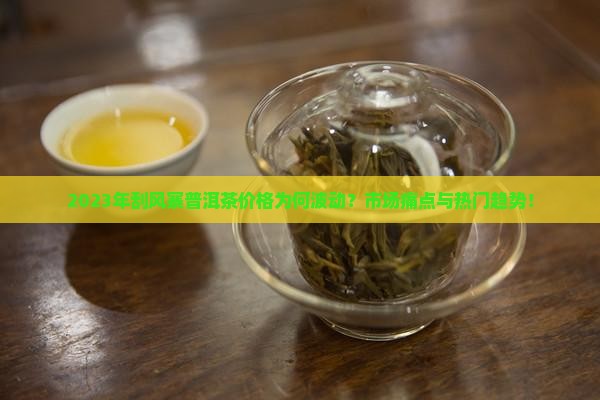 2023年刮风寨普洱茶价格为何波动？市场痛点与热门趋势！