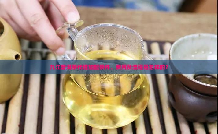 九江普洱茶代理加盟条件、费用及流程是怎样的？