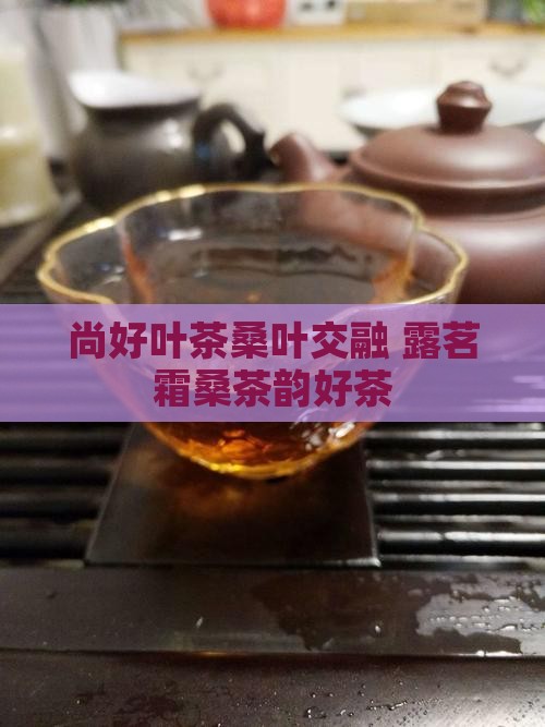 尚好叶茶桑叶交融 露茗霜桑茶韵好茶