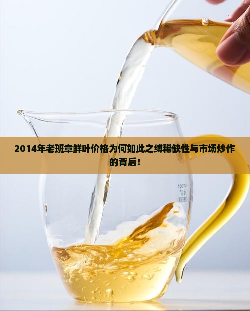 2014年老班章鲜叶价格为何如此之缚稀缺性与市场炒作的背后！
