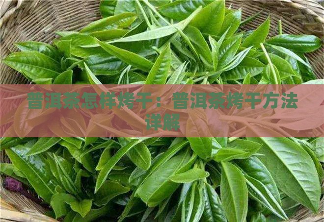 普洱茶怎样烤干：普洱茶烤干方法详解