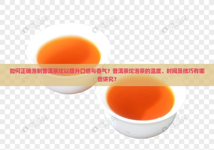 如何正确泡制普洱茶坨以提升口感与香气？普洱茶坨泡茶的温度、时间及技巧有哪些讲究？